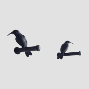 Bird Peg